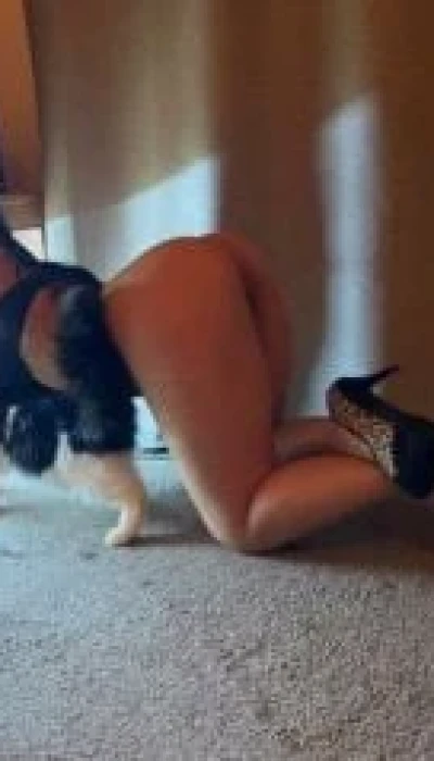 Female Escort