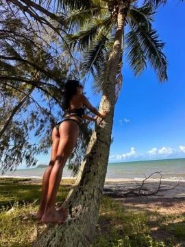 Amira