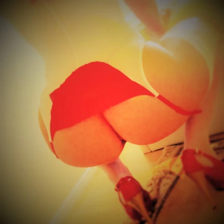 Sensually-Sandy